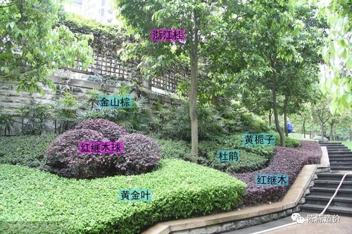 綠化養護期到底從哪開始計——園林綠化工程施工的關鍵節點